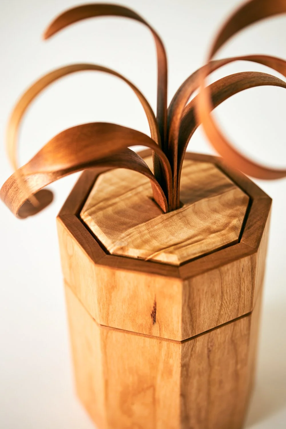 Spiral Sprout Box — Philadelphia Furniture Workshop